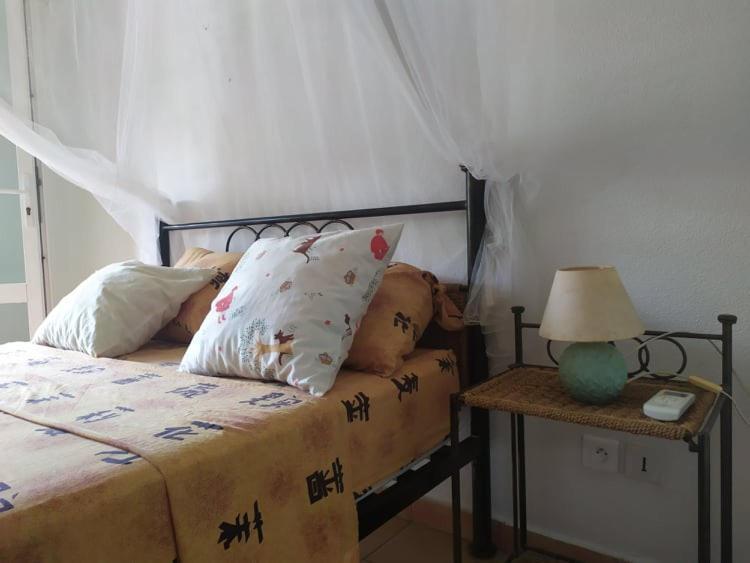 Charmant appartement en bord de mer avec piscine Gourbeyre Extérieur photo